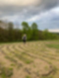 picture of a woman walking a labyrinth
