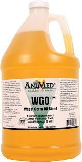 WGO Wheat Germ Oil Blend, 1 Gallon Animed 90671