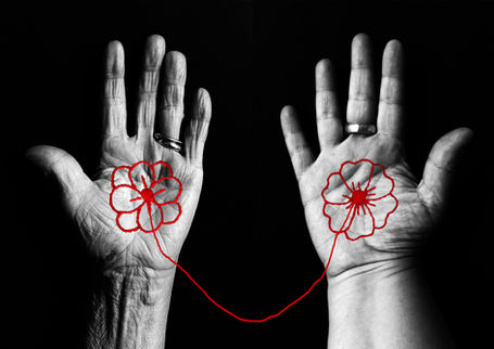 okokok fil essais.jpg