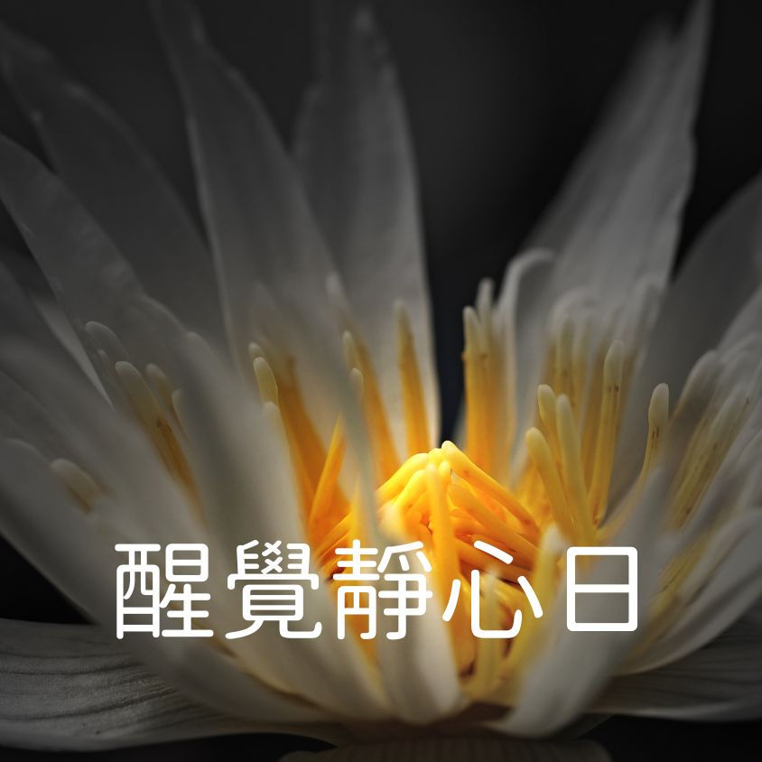 2025 醒覺靜心日|報名中