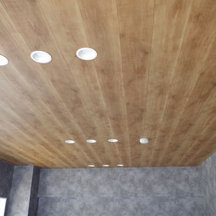 Re-F-ceiling.JPG
