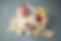 DSC_5306-Exposure-small.jpg