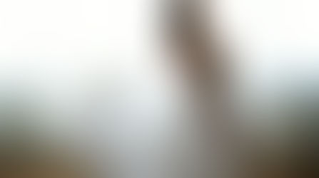 maternity photography sydney north shore