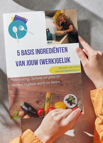 ingredienten van werkgeluk helpen jou bij je re-integratie. werkgelukmenu
