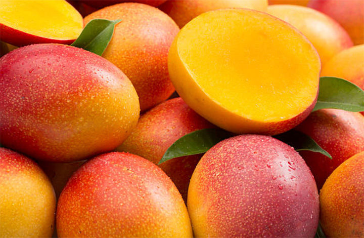 Mango