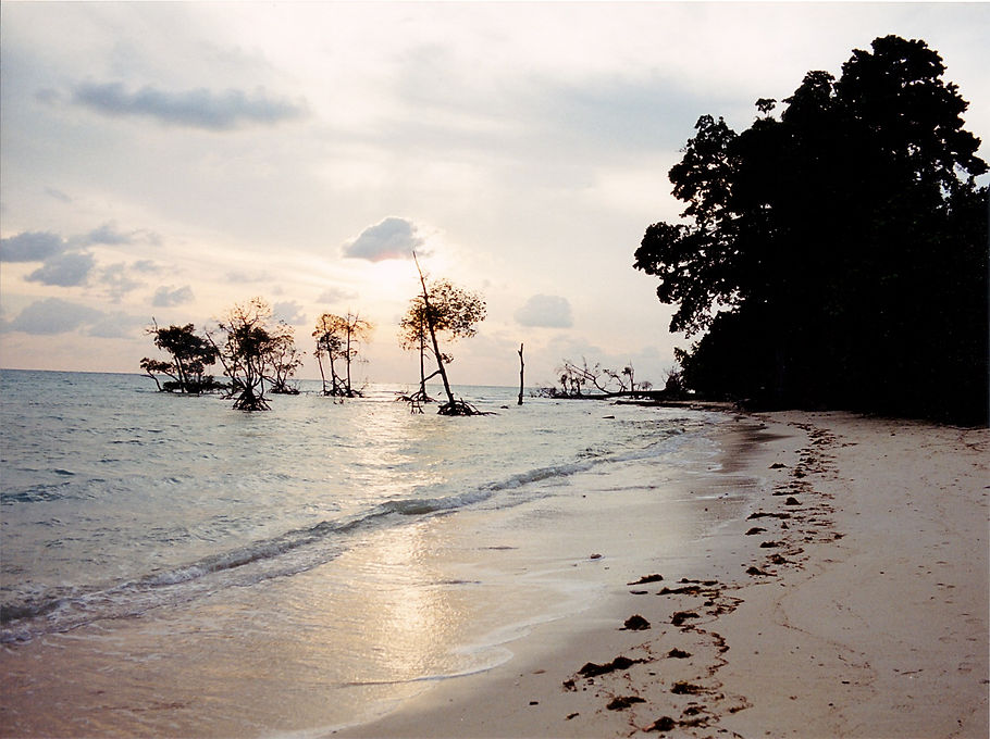 andamans1-29 (1).jpg