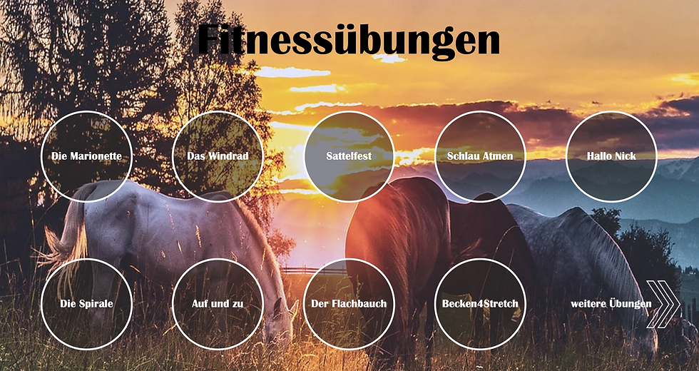 Fitnessübungen