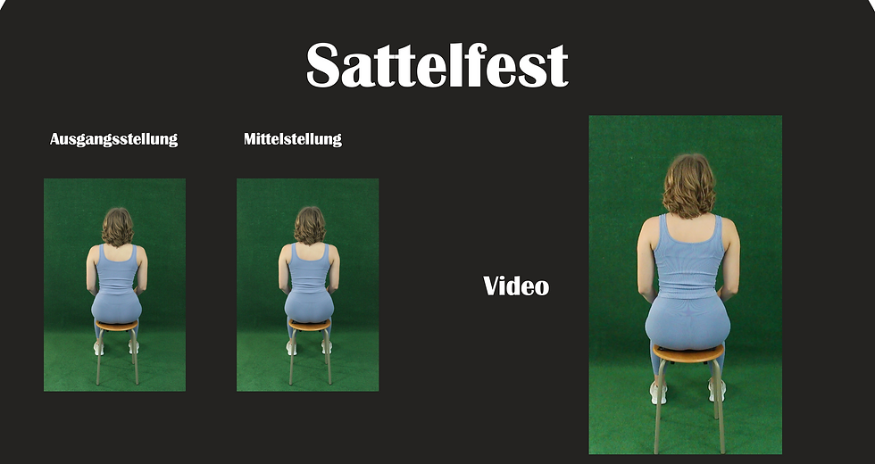 Sattelfest