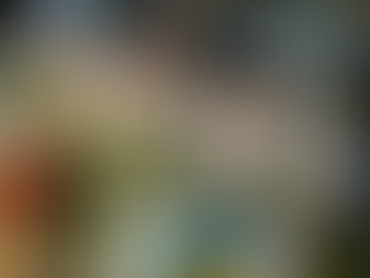 Summer 2024 in Bristol: Your Seasonal Guide to the Best Activities & Events