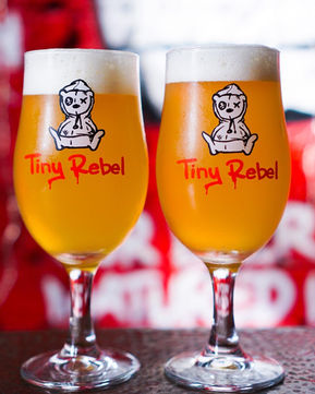 A selection of craft beers from Tiny Rebel brewery in Newport