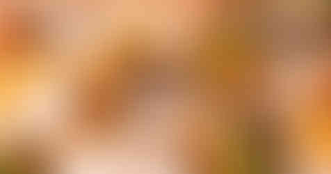 A tempting spread of hearty pub classics at Tiny Rebel brewery in Newport