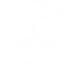 STATIC.png