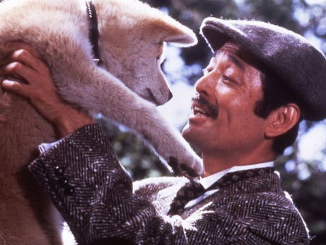 SATO CINEMA recebe a 47ª Mostra Internacional de Cinema em SP