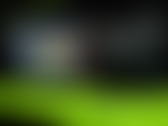 Novo GeForce Game Ready Driver deixa jogadores de F1 23 prontos no grid com NVIDIA DLSS e Reflex