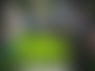 Day Pass da NVIDIA GeForce NOW Powered by ABYA agora está disponível no Brasil