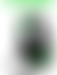 Cyber Week Viper Pro Gamer tem head set Python com 50% de desconto