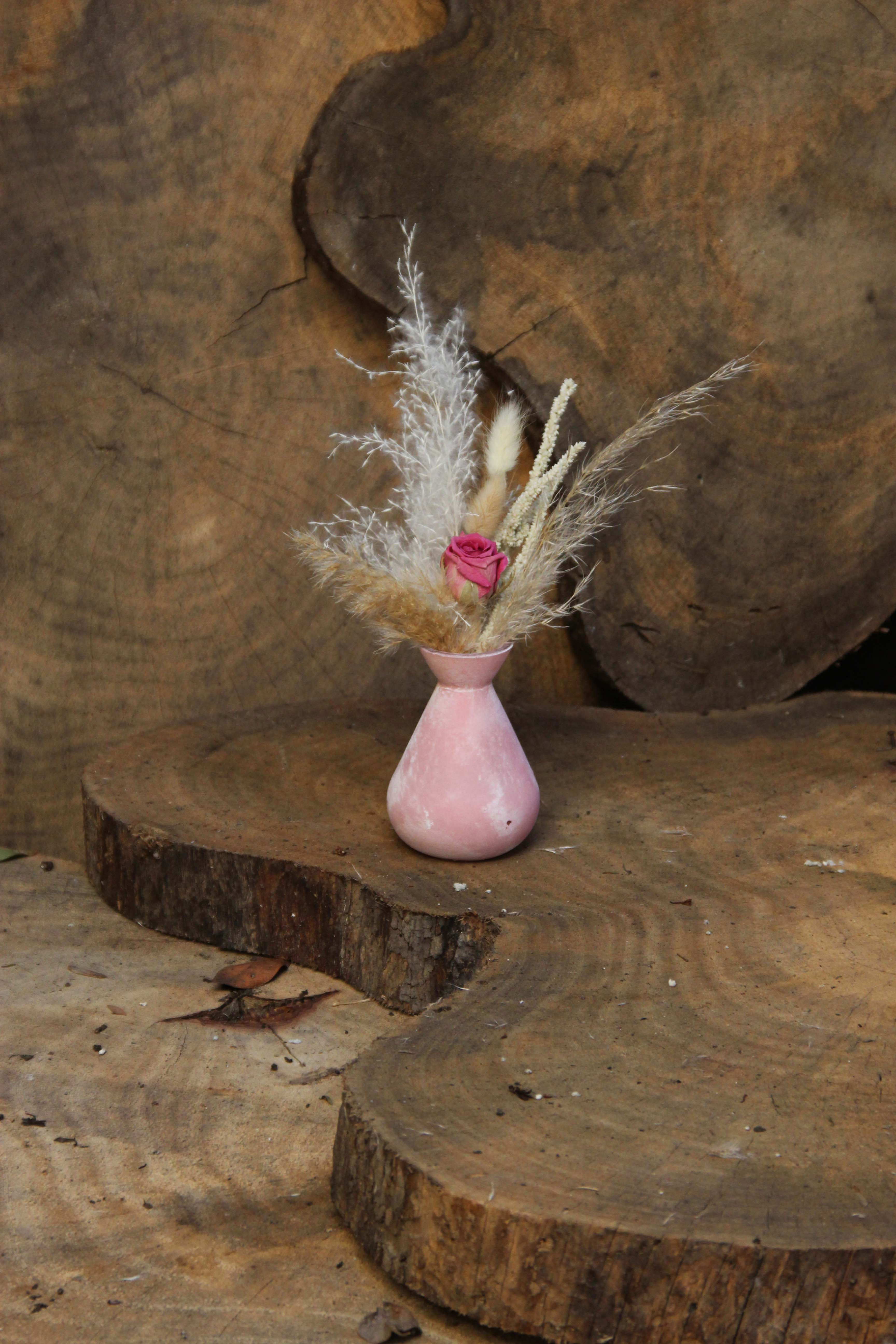 מִינִי פְלָמִינְגּו טרופי