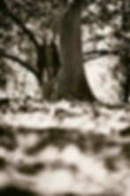 MG1_7896