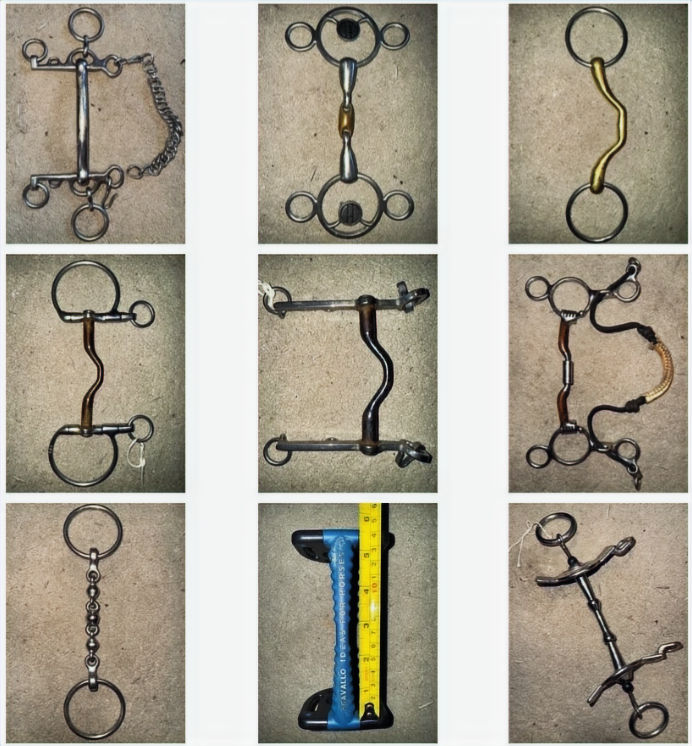 Chomping Or Stomping At The Bit? (Are You And Your Horse Comfortable Or Just Tolerating the Bit?)