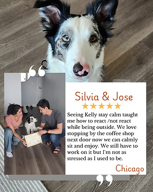 Review, Client testimonial