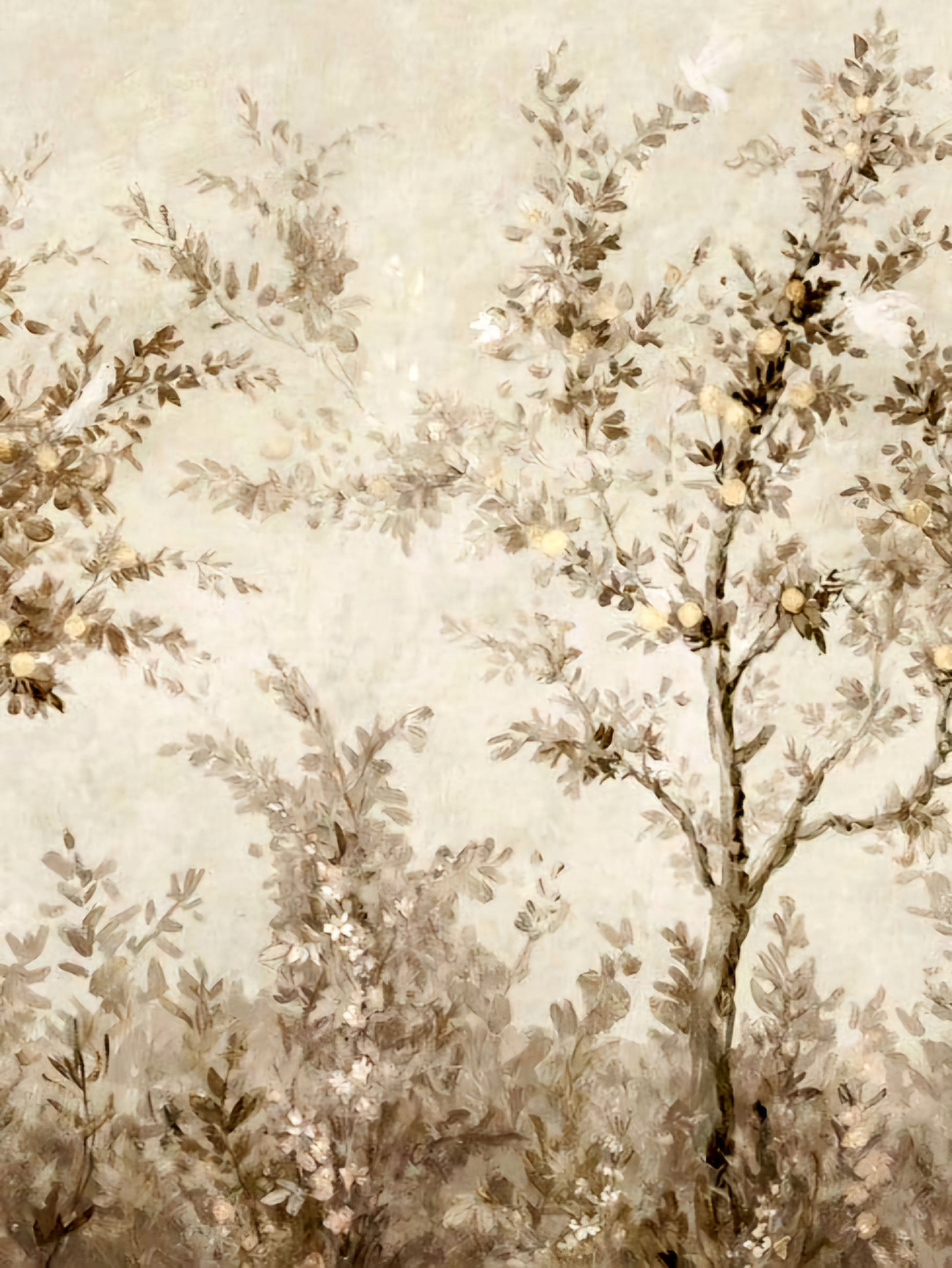 Wallpaper AGWP020506