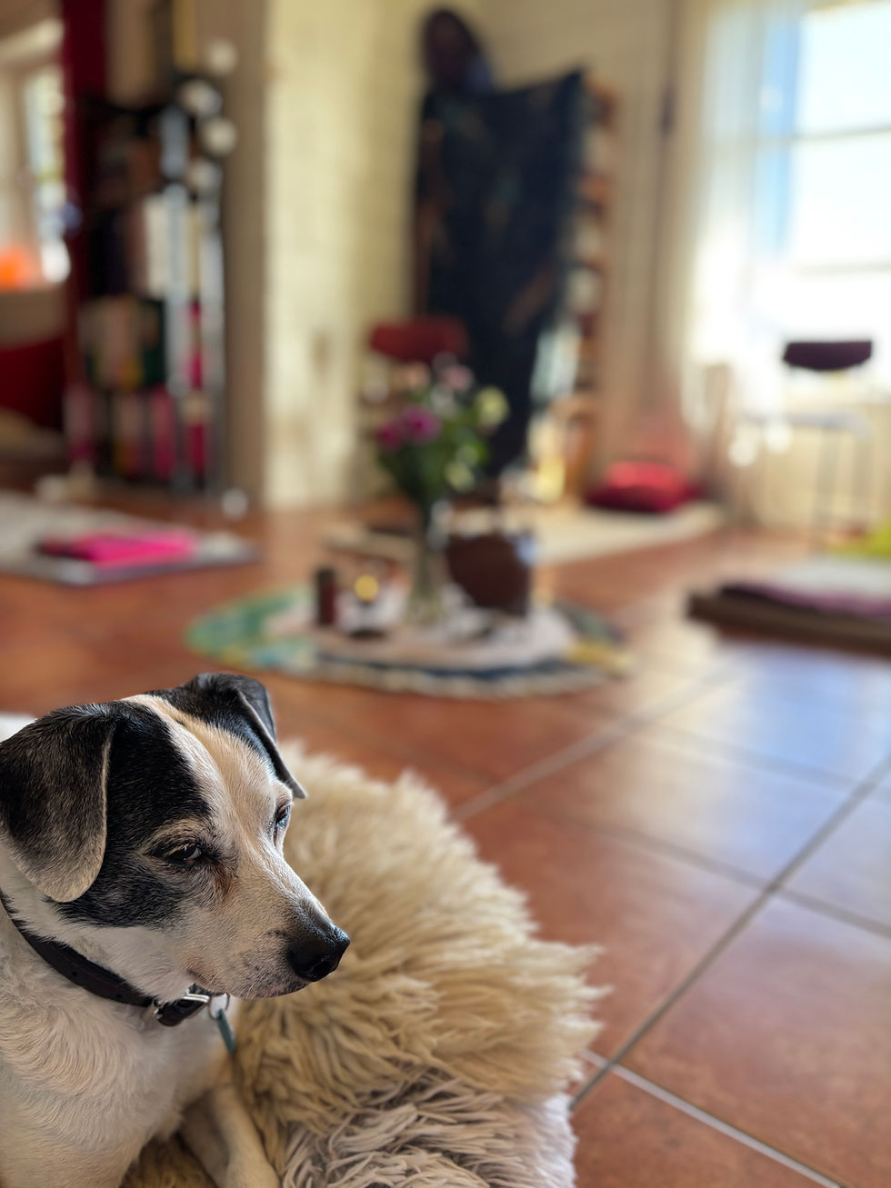 IMG_4495.jpeg