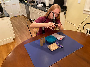 IMG_3386.jpg