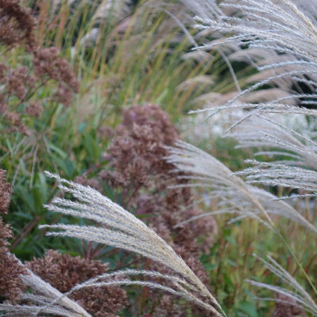 Ein Garten bedeutet für mich Erholung