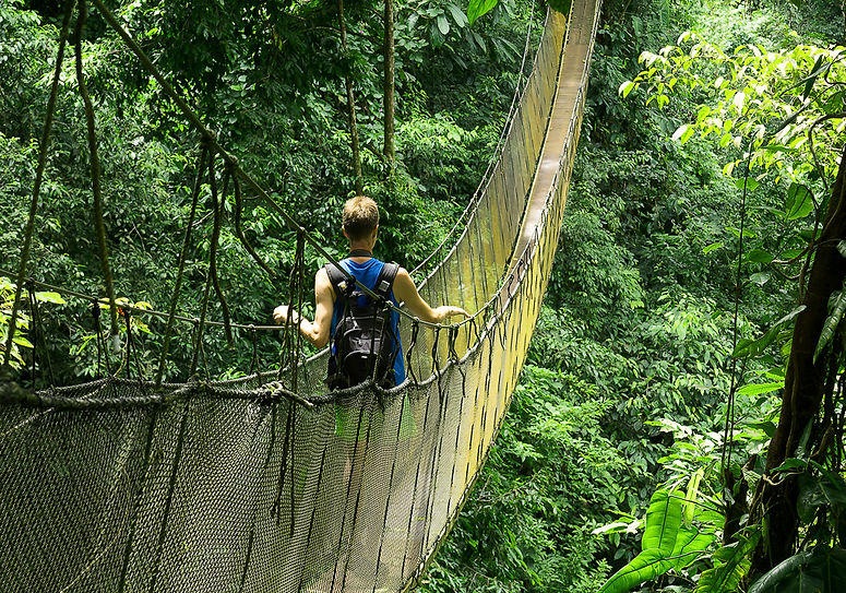 Rainmaker Park Tour Hanging Bridges and Waterfalls Rainforest Tour
