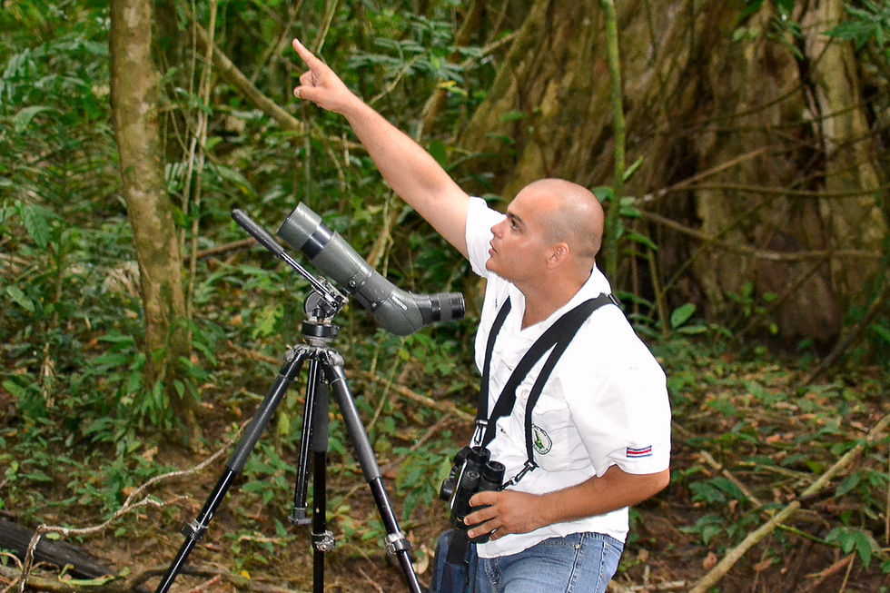 Exploring Manuel Antonio Hiking Trails: A Guide to Hiking Adventures in Manuel Antonio National Park