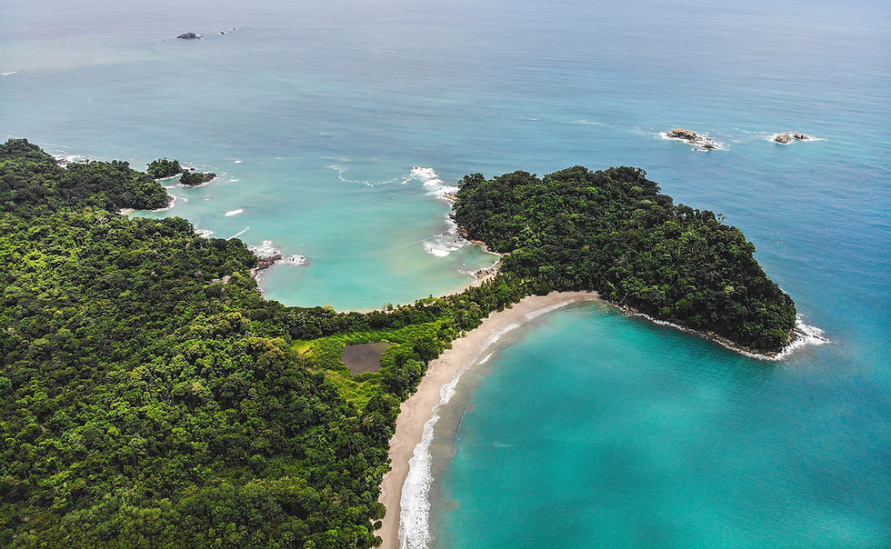 Découvrez les merveilles du parc national Manuel Antonio