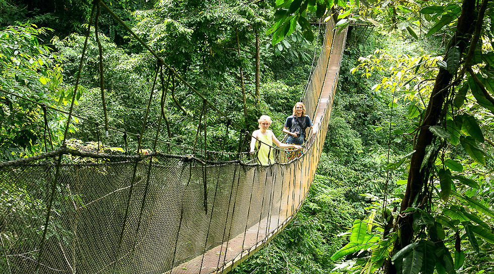 Wide-angle view of travelers crossing a hanging bridge above rainforest in Costa Rica.