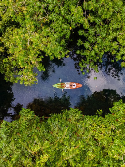 Mangrove Kayak Tour Manuel Antonio, Costa Rica