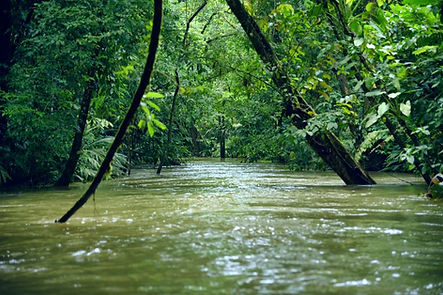 Parque Nacional Tortuguero, Costa Rica