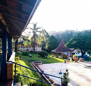 sitio toca do cupim.webp