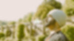 website banner 1.jpg