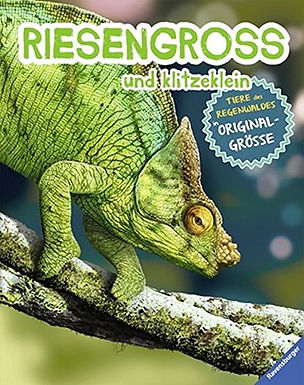 RIESENGROSS und klitzeklein: Tiere des Regenwaldes in Originalgrösse