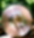 DJ OOF.png