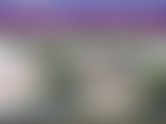 Thank You Wilcox Wine Festival 💕