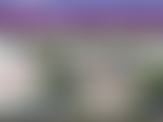 Thank You Wilcox Wine Festival 💕