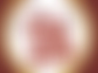 We FILLed THE BUS ❤️