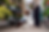 Les-Chiens-BLOOM_1.avif