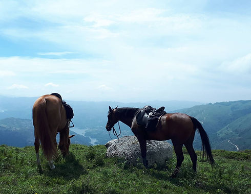 1 dia passeio a cavalo.jpeg