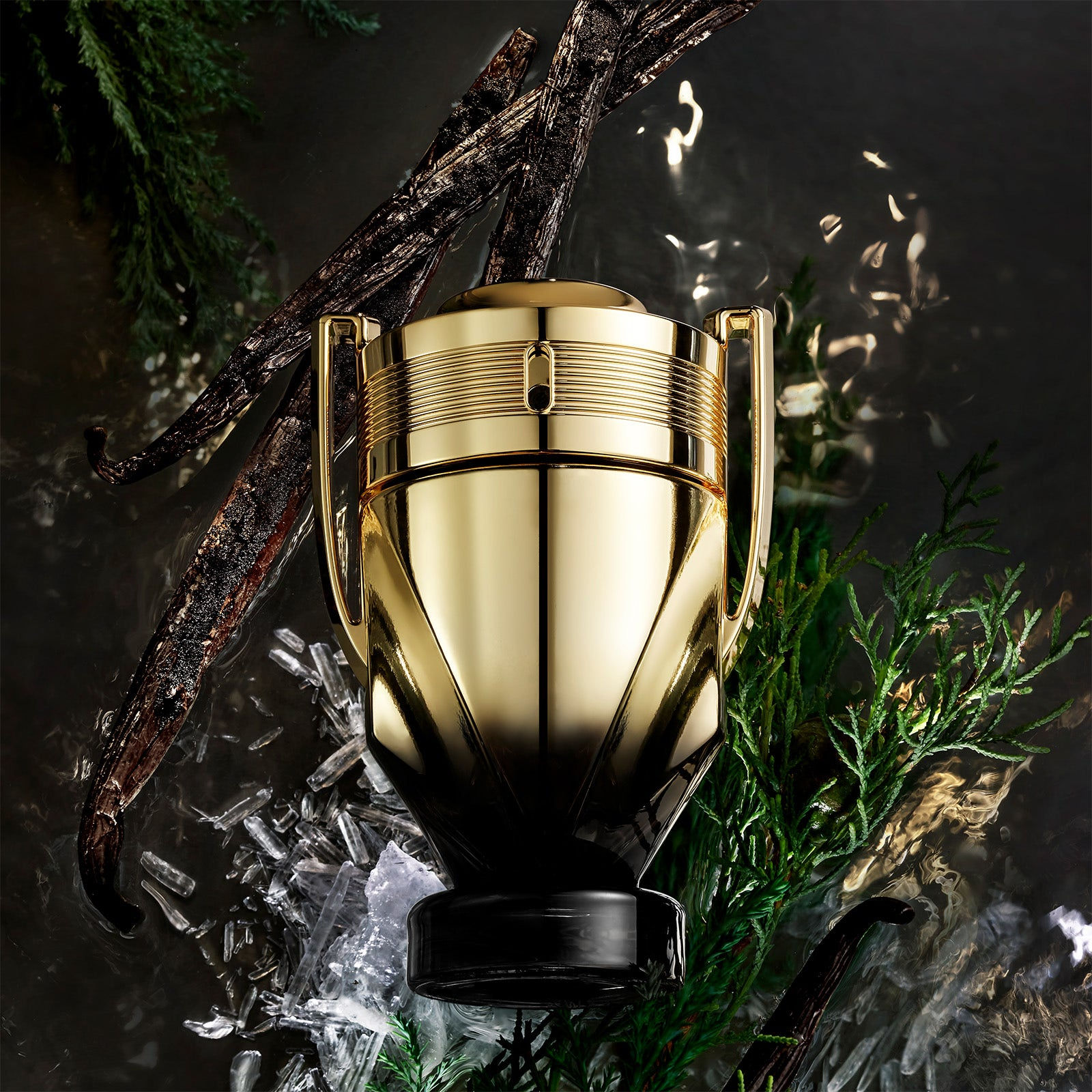 Paco Rabanne Invictus Elixir Rabanne for men 100ml 2026