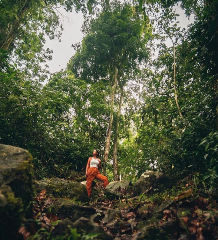 Conoce el Área de Conservación Regional Cordillera Escalera