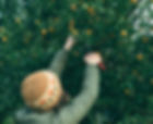 106A9193_edited.jpg