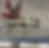 Screen Shot 2018-05-15 at 5.49.56 PM