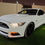 Miniature : Ford Mustang VI GT Millésime 2015 Edition 50th Anniversaire