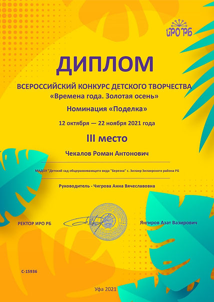 Diplom_page-0001.jpg