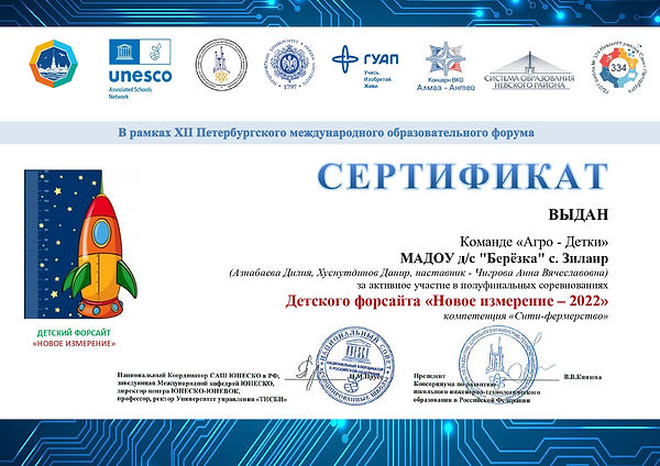 СЕРТИФИКАТ детский сад Березка полуфинал_page-0001.jpg